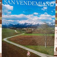 San Vendemmiano foto Ciol