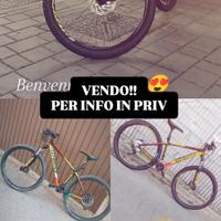 bici mtb