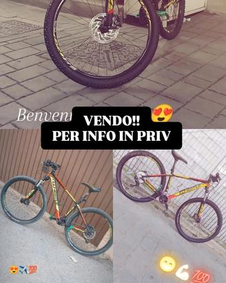 bici mtb