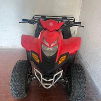 quad DINLI 50