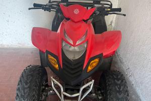quad DINLI 50