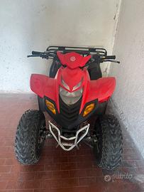 quad DINLI 50