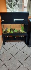 ACQUARIO PERFETTAMENTE FUNZIONANTE