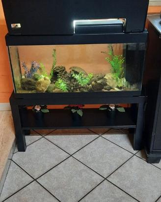 ACQUARIO PERFETTAMENTE FUNZIONANTE