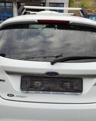 Portellone nudo FORD FIESTA del 2010