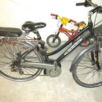 Bici elettrica microbike
