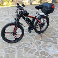 Bici elettrica 