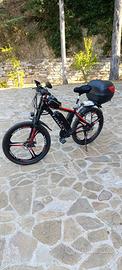 Bici elettrica 