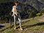 Immagine 8