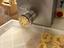 Immagine 5