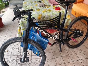 mtb  focus carbonio