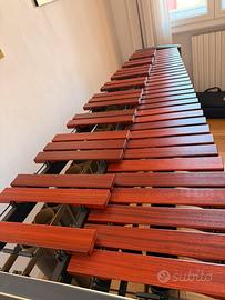 Marimba Adams Concert