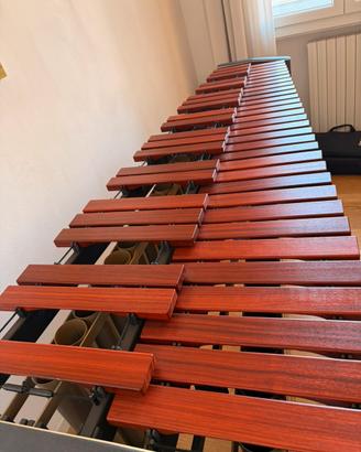 Marimba Adams Concert