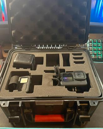 Go pro 11