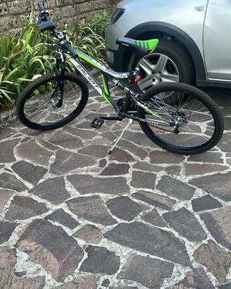 Bicicletta galant