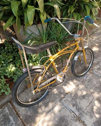 Bici Vintage Dany cross 