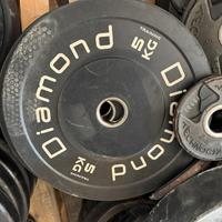 Dischi bumper da palestra diverse marche