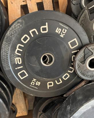 Dischi bumper da palestra diverse marche