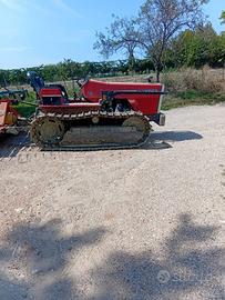 Trattore cingoli Massey Ferguson 70cv