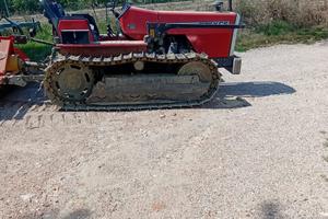 Trattore cingoli Massey Ferguson 70cv