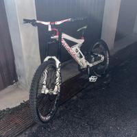 Bici downhill scoot gambler