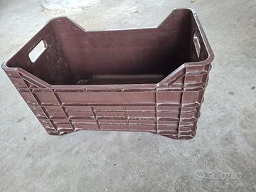 cassette  in plastica 