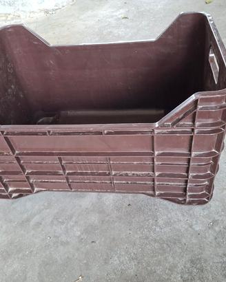 cassette  in plastica 