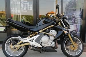 Kawasaki ER 6N
