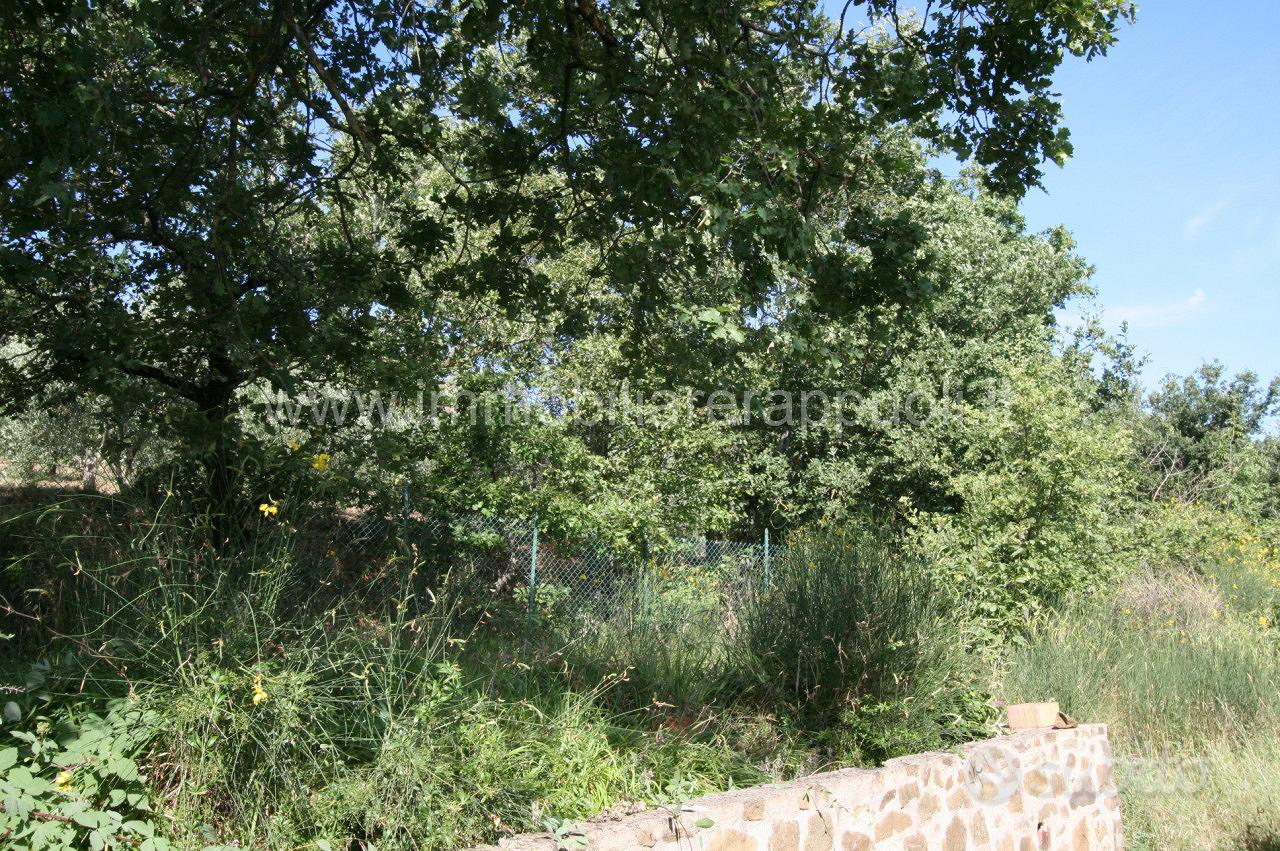 CA9 - Rustico di Campagna con Vista Panoramica a S - Vista 5
