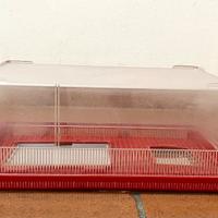 Tartarughiera in plastica