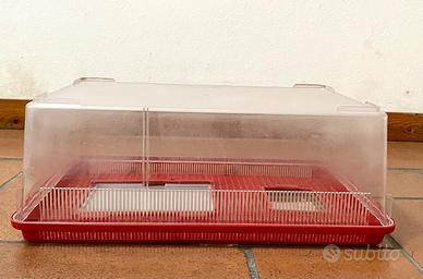 Tartarughiera in plastica