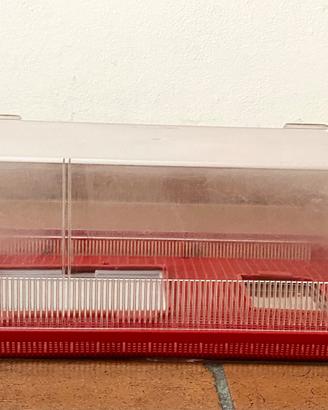 Tartarughiera in plastica