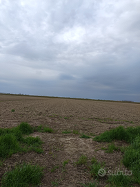 Terreno 12800 mq a Stretti di Eraclea