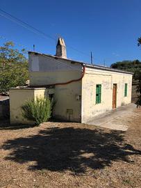 Rustico con terreno
