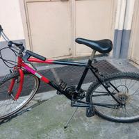 bicicletta mtb 