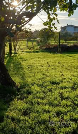 Terreno edificabile Castiglione del Lago