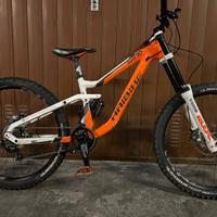Bicicletta da Downhill