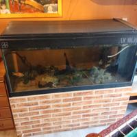 acquario in vetro da 400 litri 