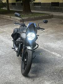 Moto Guzzi V7 Stone 850 2024