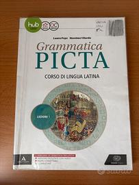 Grammatica picta