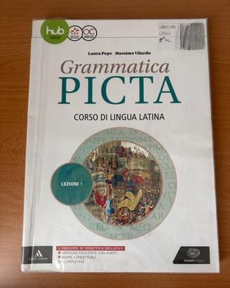 Grammatica picta