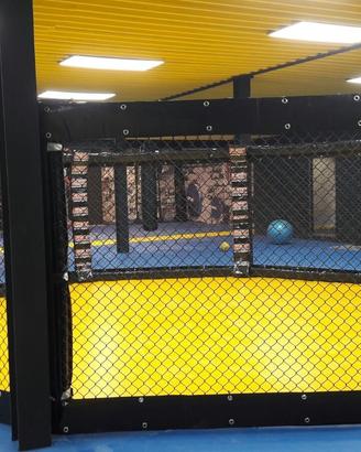 Gabbie e ring boxe