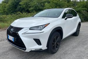 LEXUS NX 2ª serie - 2021
