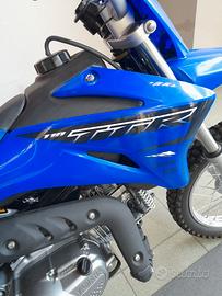Yamaha TTR 110