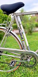 Bicicletta da uomo 