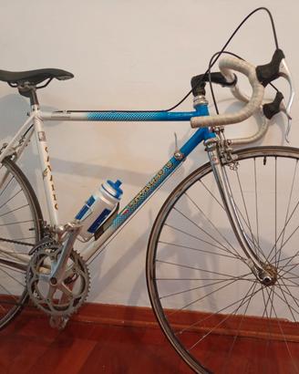 Bicicletta da corsa cavallo