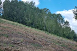 Terreno agricolo 9.5 ha