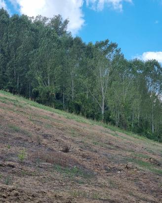 Terreno agricolo 9.5 ha