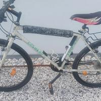 MTB vintage COLNAGO donna
