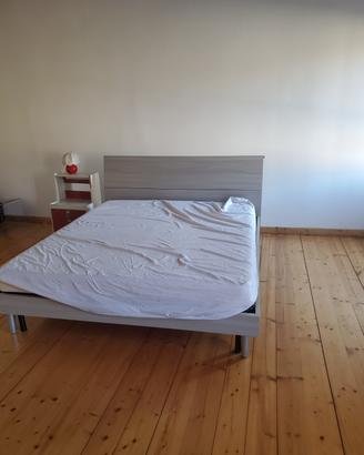 Posti letti disponibili a Codigoro